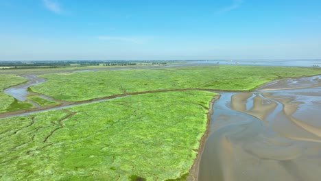 Lange-Luftaufnahme,-Die-Einen-Schlammigen,-Schmalen-Fluss-Verfolgt,-Der-Unter-Blauem-Himmel-Durch-Ein-Wunderschönes-Grünes-Flussdelta-Fließt