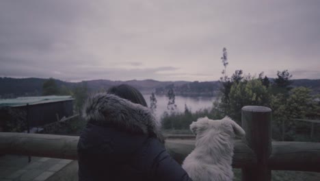 hd de una mujer y su casa de perro al aire libre frente a un lago