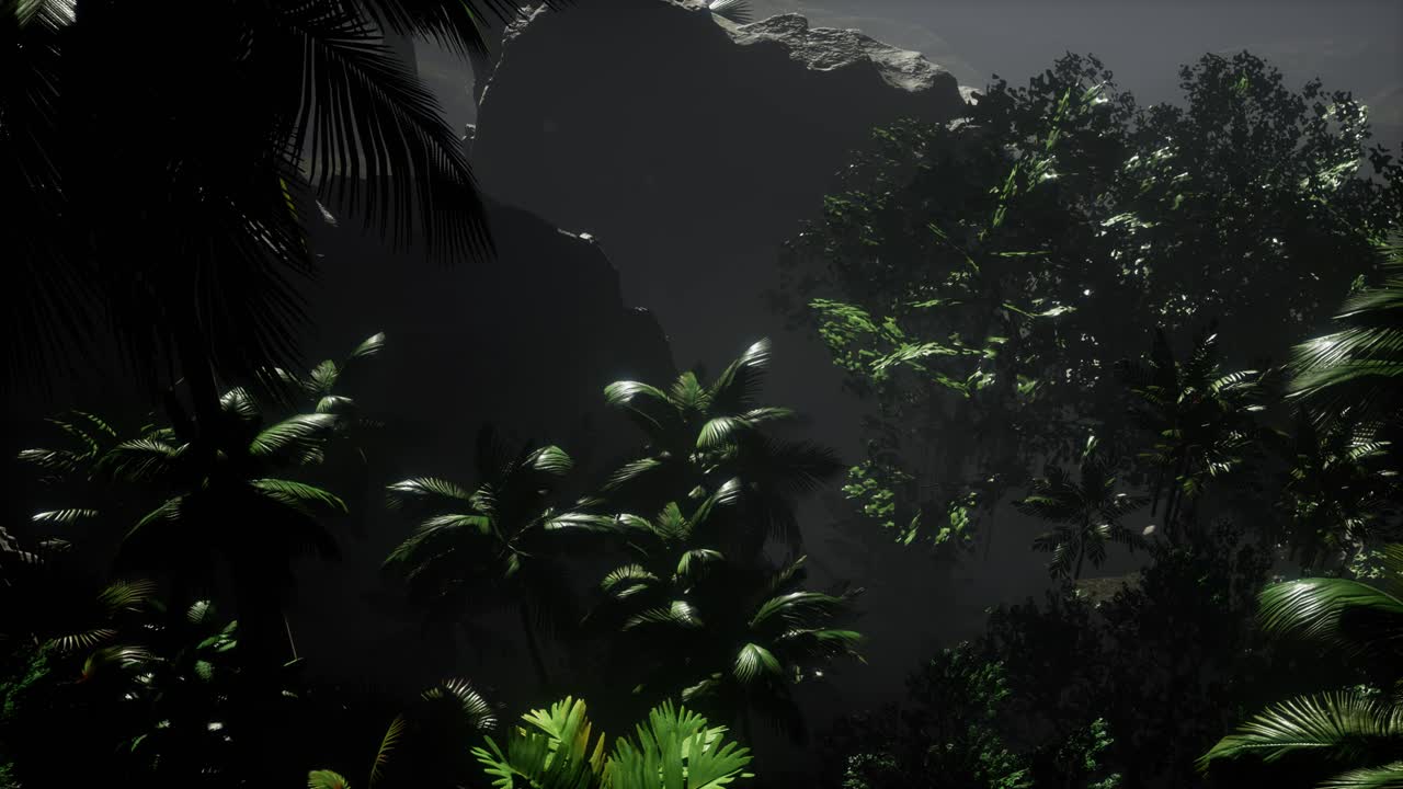 los rayos del atardecer a través de las palmeras