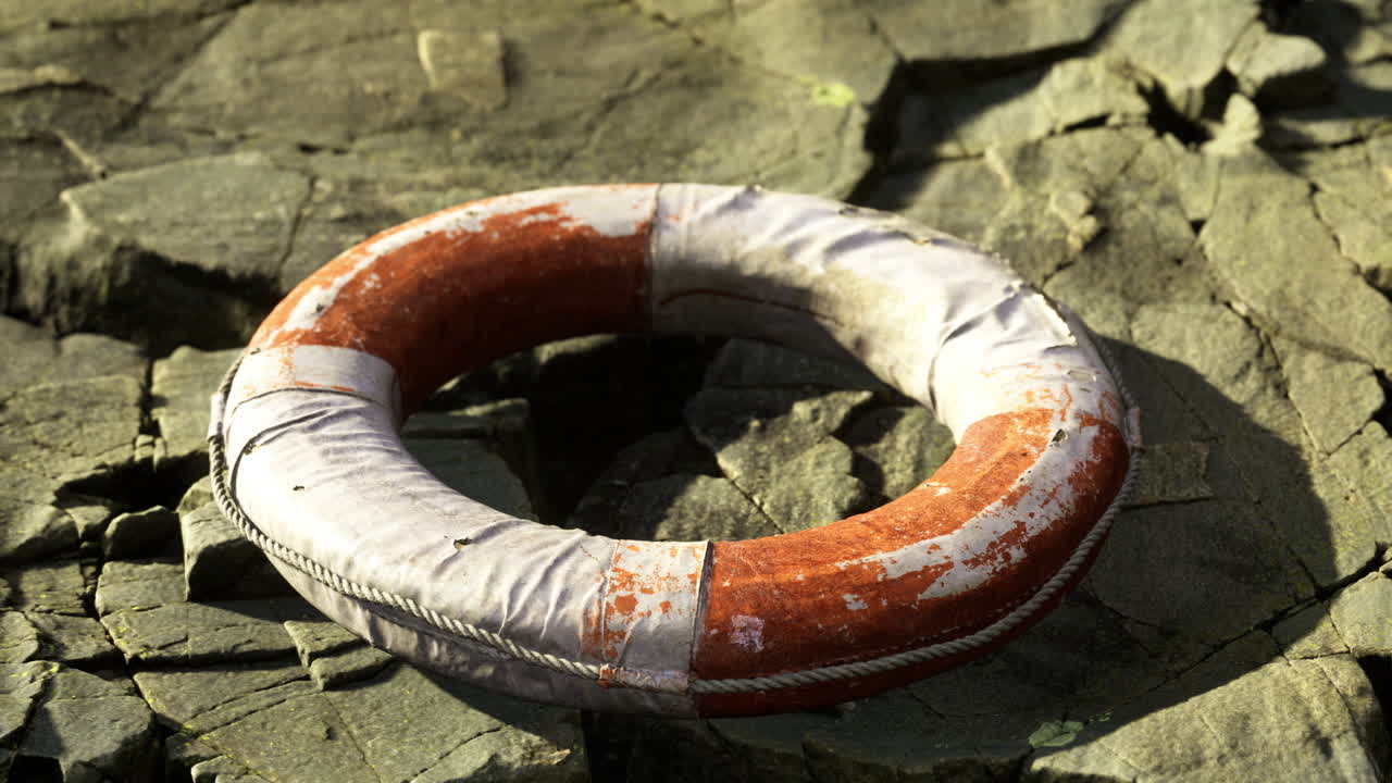 Lifebuoy resting on cracked shore under morning light in serene location