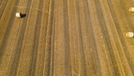 Slow-tilt-up-view-of-bales-of-hay-in-a-farmers-field