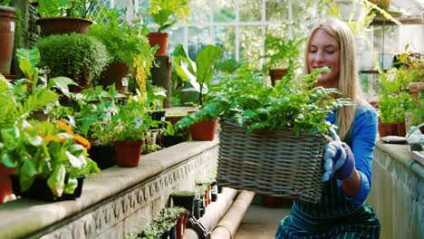 beautiful woman holding wicker basket with fresh plant