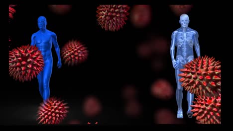 animation of covid 19 cells and two blue human figures walking