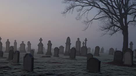 eerie cemetery scene at dawn with mist, captured from a low angle