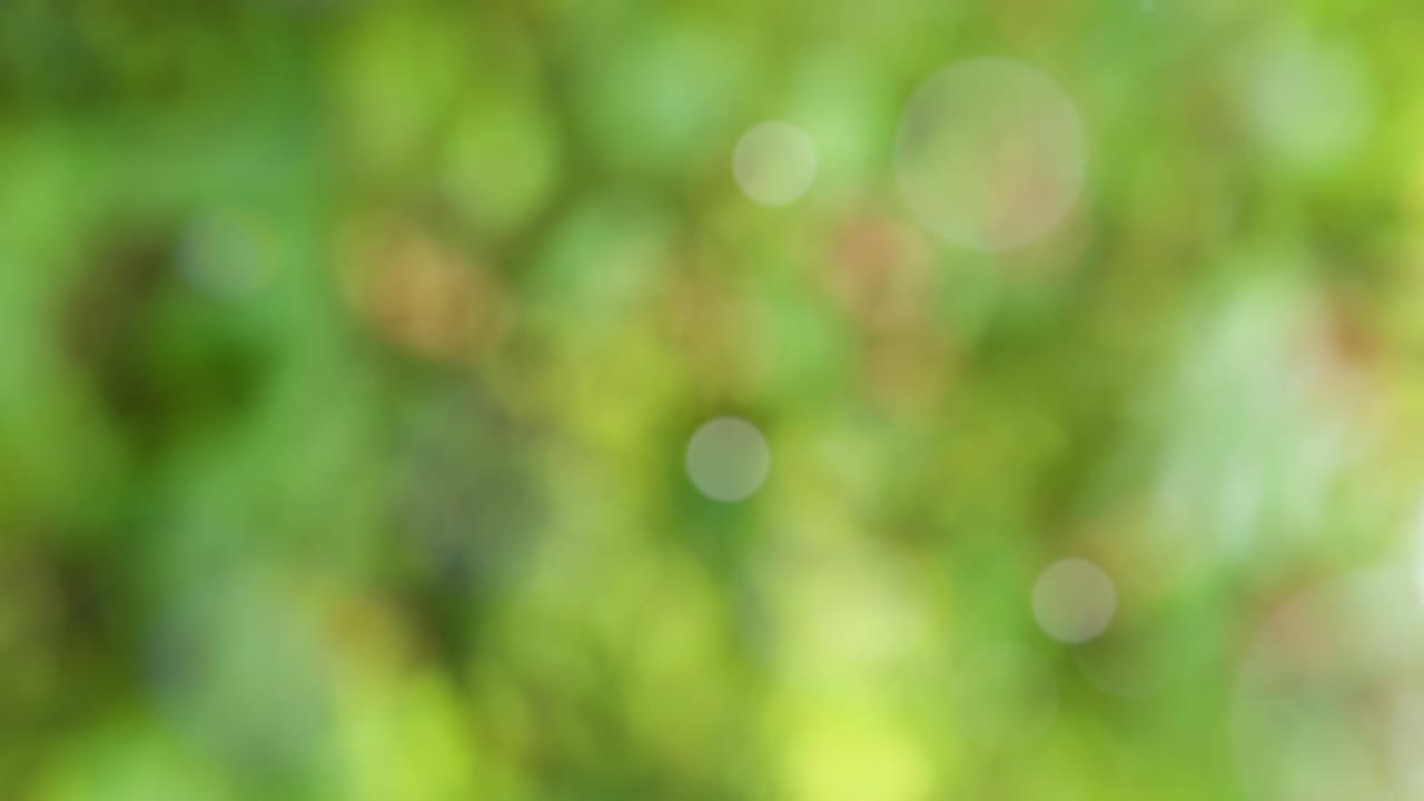 fondo de verano abstracto con bokeh