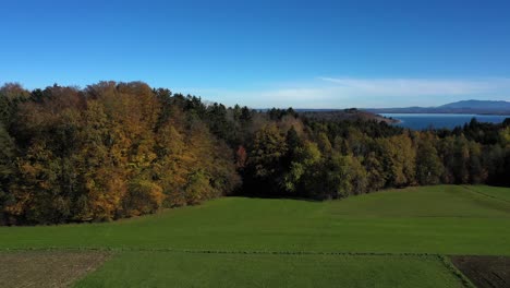Luft-über-Grünem-Feld-Mit-Frühen-Herbstfarben-In-Richtung-Des-Ruhigen-Süßwassersees-Chiemsee-In-Bayern,-Deutschland