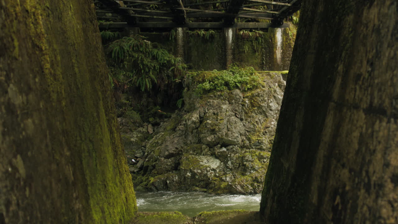 A train bridges foundation, weathered timbers cloaked in a veil of mystery. Nature's whispers intertwine with echoes of the past, creating an enchanting atmosphere of wonder.