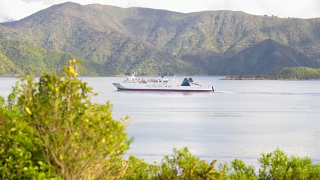 ferry traveling in between new zealand's two islands in golden sunshine