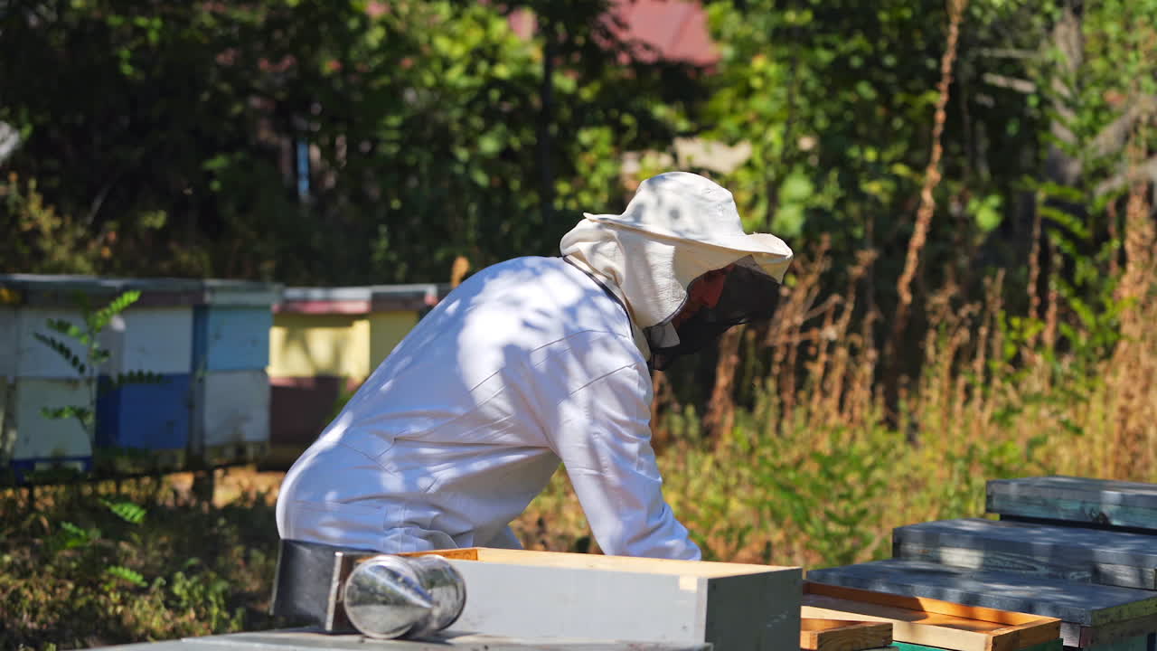 Male apiarist on a bee farm. Beekeeper in white protective suit working near beehives among nature. Wooden hives in nature.