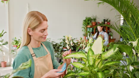 mujer limpiando plantas en una tienda de plantas