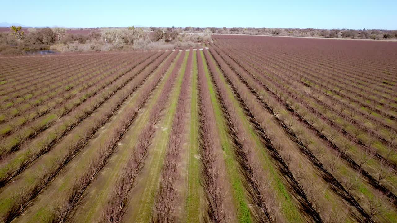 empuje aéreo de huerto de almendros en cerca de modesto california