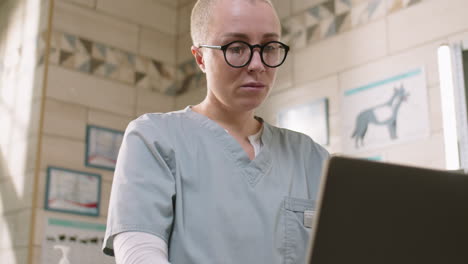 Female Veterinarian Using Laptop in Clinic