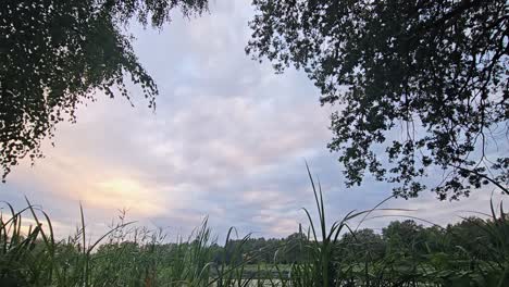 time lapse with clouds over a wild pond