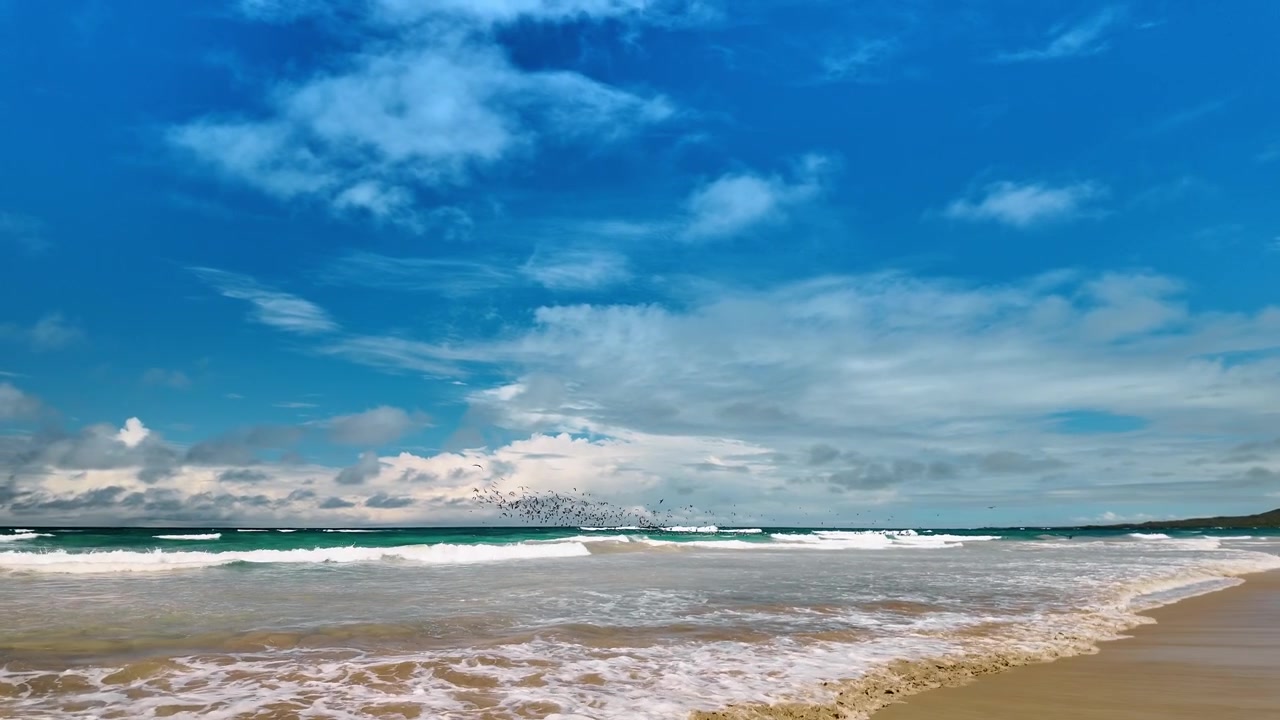 Onde dell'oceano che si infrangono su una spiaggia sabbiosa sull'Isola Isabela. Stormo di uccelli che vola sopra la schiuma dell'oceano, cielo azzurro con nuvole, costa sabbiosa in primo piano