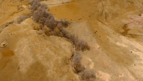 aerial view of a dry mountain valley with grazing animals