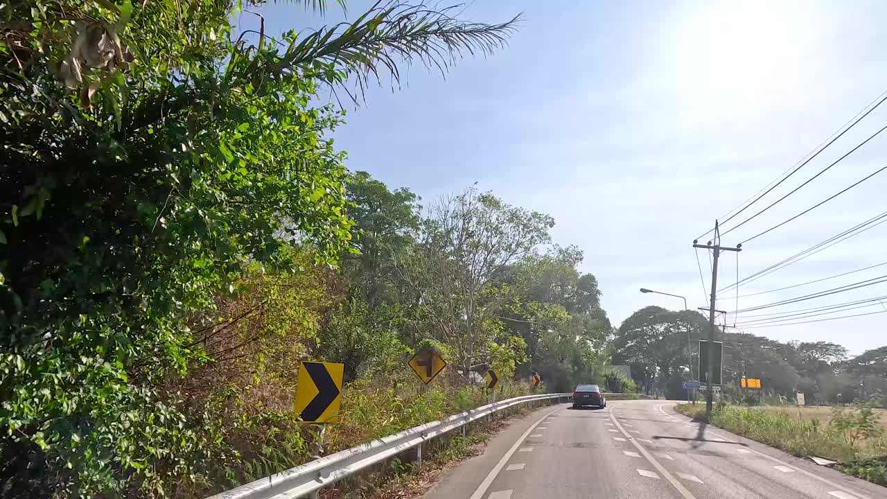 숲 속 도로 를 따라 평화롭게 운전 하는 것