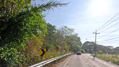 a peaceful drive along a forested road