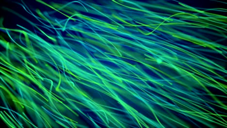 moving network of lines with long trails in space, effect of drops of the rain, 3d rendering, computer generated