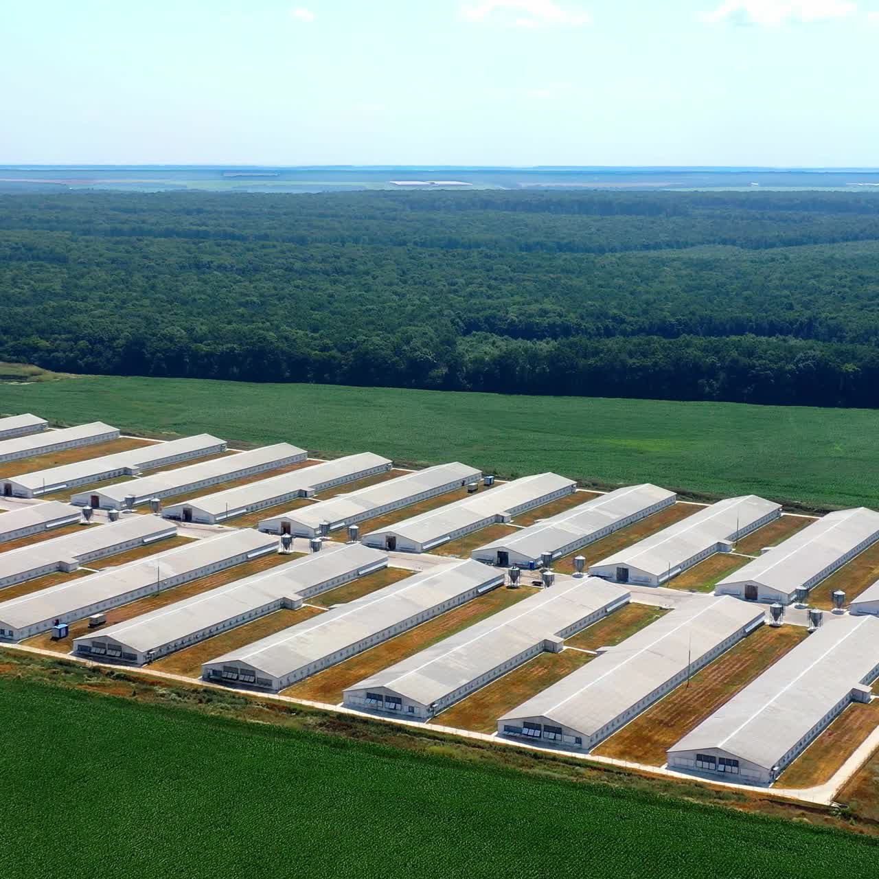 Agricultural factory with barn houses among nature. Modern farm on green forests background. Agriculture farming. Aerial view