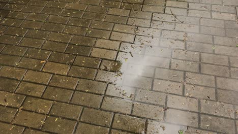 wet after the rain paving slabs on the street