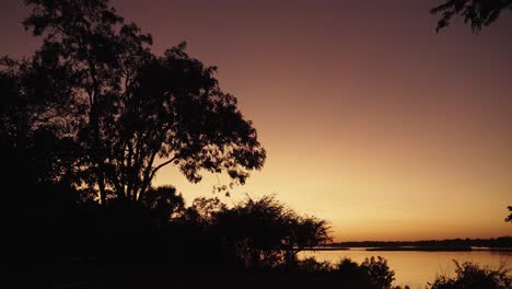 Goldener-Sonnenaufgang-Oder-Sonnenuntergang-über-Einer-Feuchtgebietswildnis-Am-Flussufer-Des-Afrikanischen-Sambesi