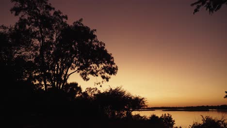 el amanecer o el atardecer dorado sobre un desierto de humedales en las orillas del río zambezi de áfrica