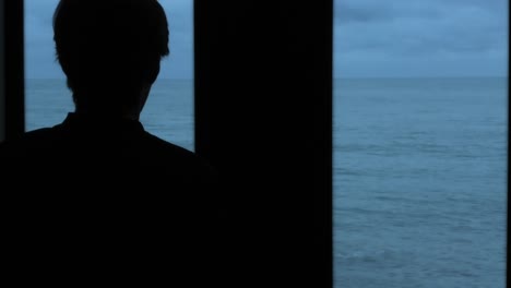 Person looking at the ocean from a window