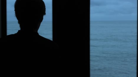 person looking at the ocean from a window