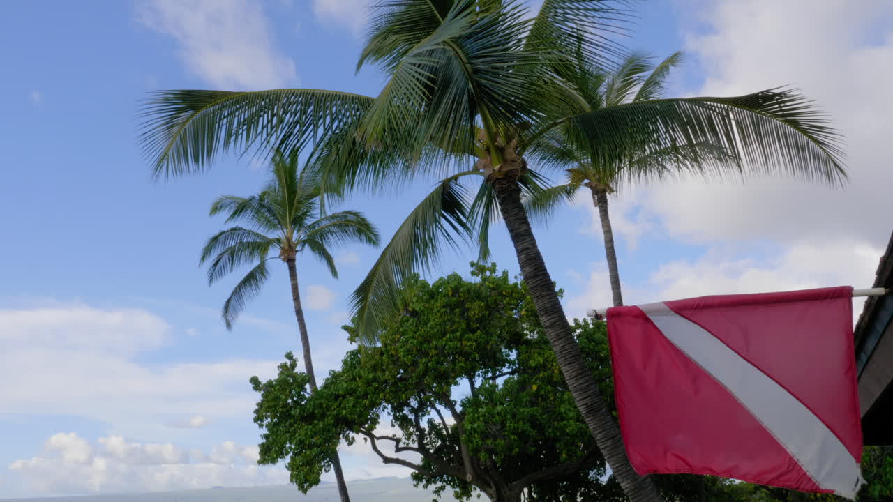 Diver Flag at Dive Shop at Mauna Lani Hawaii