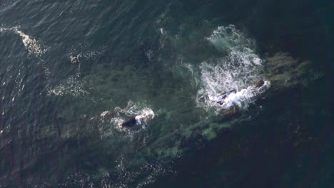 aerial shot flying over the rich blue atlantic ocean waves crashing against a rocky reef in the middle of the sea