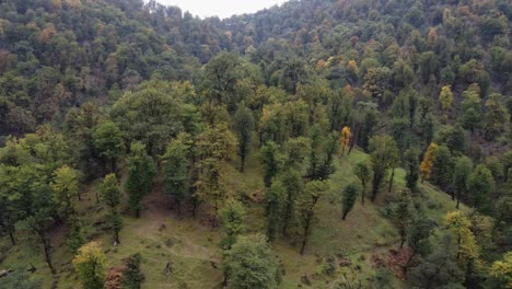 Aerial-descent-to-lush-forested-autumn-hillside,-Azerbaijan-mountains