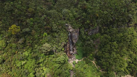 hermosos amantes saltan cascada donde un pequeño arroyo cae en cascada por las rocas escondidas entre los altos árboles verdes de la naturaleza de sri-lanka mientras el sol ilumina maravillosamente