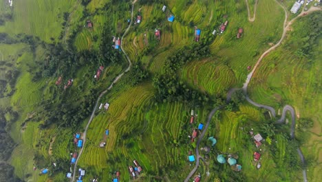 Toma-Aérea-De-Arriba-Hacia-Abajo-De-Casas-Coloridas-Ubicadas-En-Una-Ladera-Verde-En-Nepal,-Asia---Campos-De-Plantación-Con-Cultivo