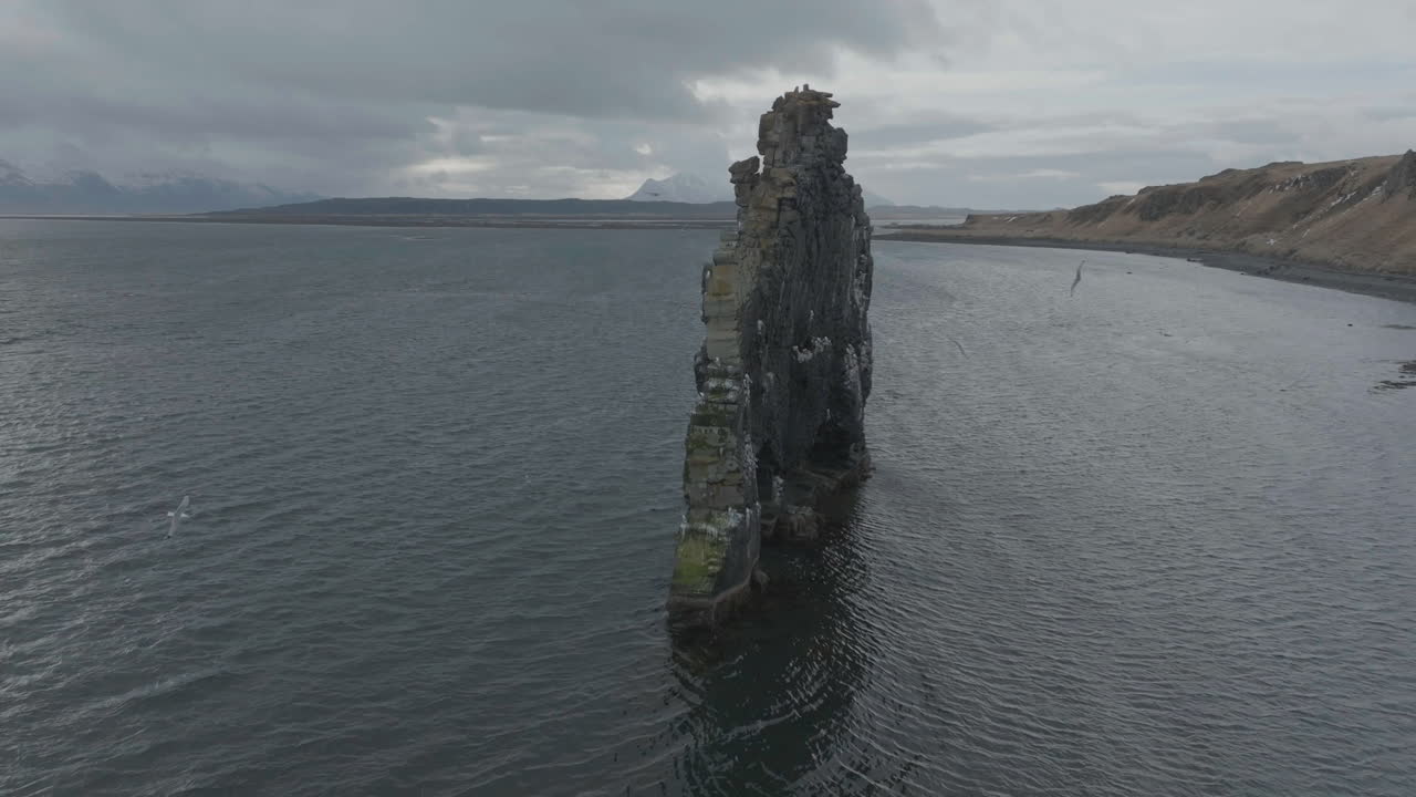 fotografía de aviones no tripulados de gaviotas volando alrededor de la roca de basalto de hvitserkur en la costa de islandia