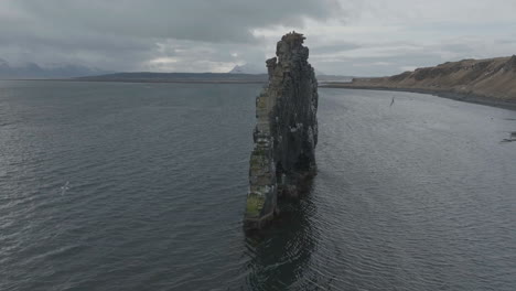 drone shot of seagulls flying around hvitserkur basalt rock by coast of iceland