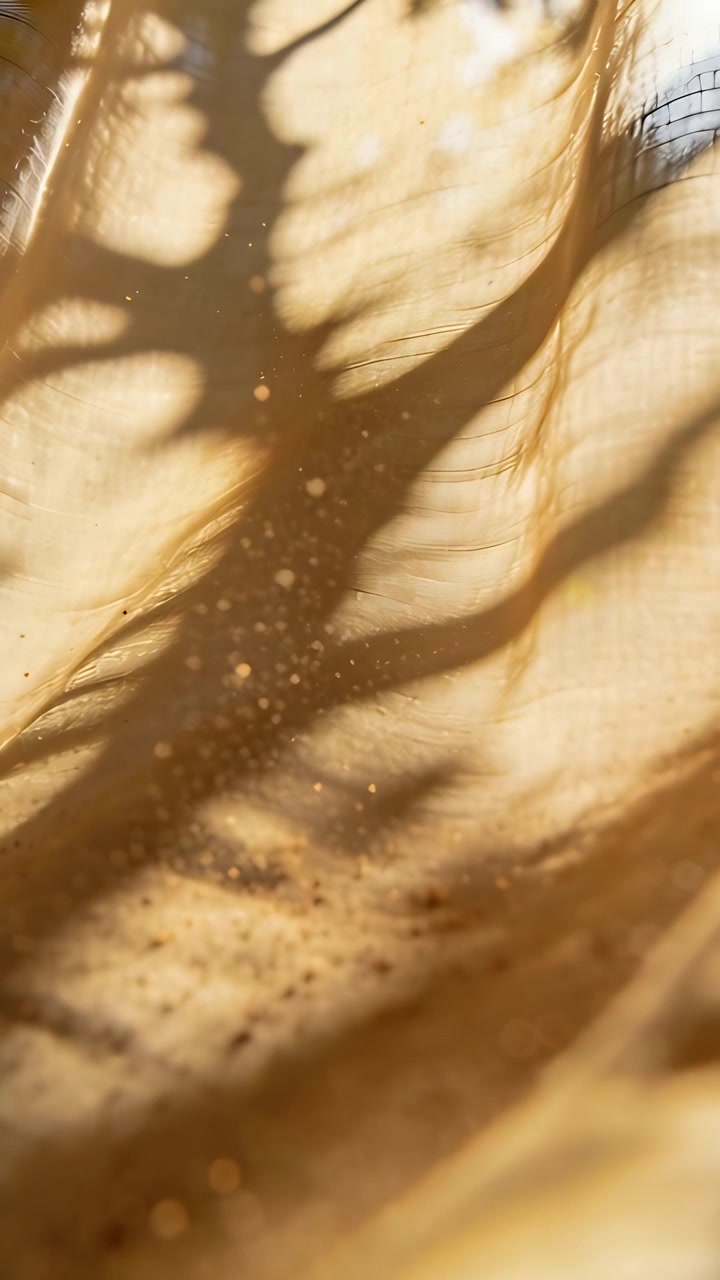 Vertical video: Lighting by sun golden curtain at window, branch shadow shifting and dust drifting