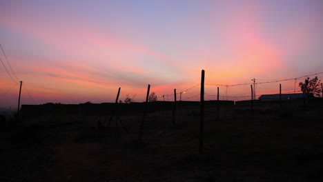 golden morning sunrise countryside landscape