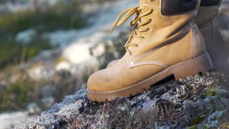 tan boots of a hiker step onto a mossy rock in wilderness as hiker stops for break