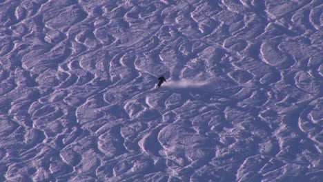 a skier heads down a broad slope of trails and moguls