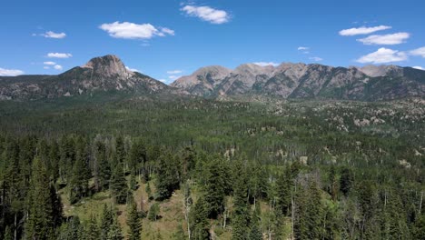 4K-Drohnenaufnahmen-Von-Immergrünen-Bäumen-Im-Wald-Von-Durango,-Colorado,-Rocky-Mountains,-San-Juan-Mountains,-Im-Westen-Von-Colorado