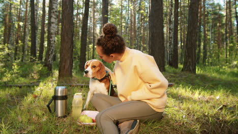 woman and beagle on a picnic in the forest