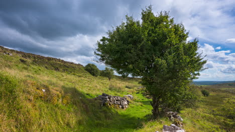 Timelapse-of-rural-nature-farmland-with-single-tree-and-field-grassland-in-the-foreground-during-sunny-cloudy-day-viewed-from-Carrowkeel-in-county-Sligo-in-Ireland