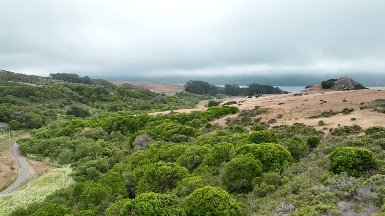 el control deslizante derribado revela una pequeña carretera en el corazón de la naturaleza verde y pacífica, san francisco, granja en marshall california