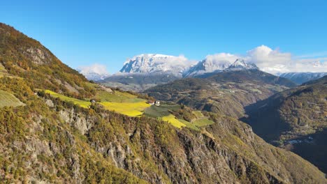 Aerial-Drone-Over-the-Vineyards-in-Autumn-in-Ritten,-Alto-Adige-in-Italy