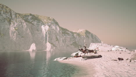 Private-Beach-Below-Sandstone-Cliffs-in-ocean