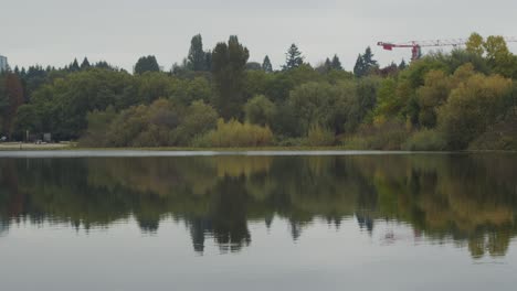 Spiegelung-Des-Sees-Mit-Bäumen-An-Der-Wasserlinie-Mit-Großem-Kran