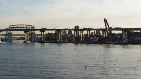 Traffic-on-the-La-Plata-highway-over-water-around-which-waterfowl-gather