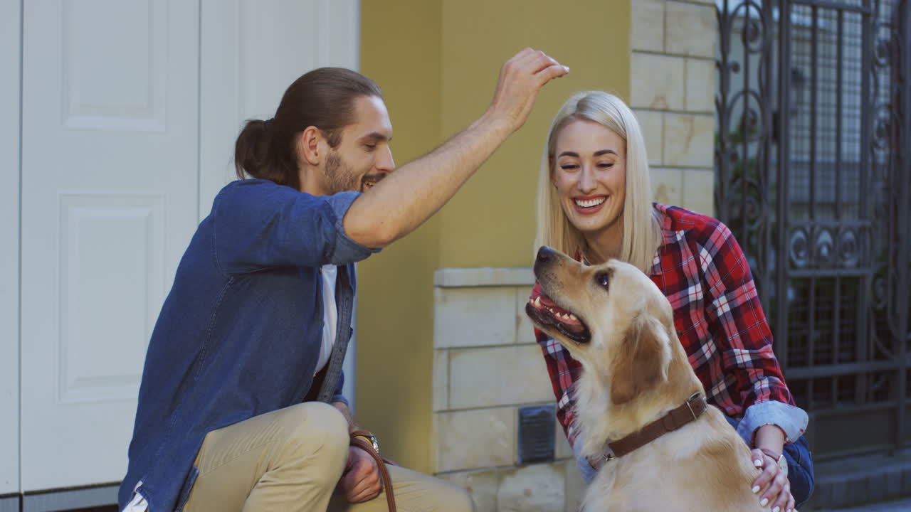 야외에서 여자 친구와 함께 앉아 그의 래브라도 개를 훈련시키는 남자의 모습을 가까이에서