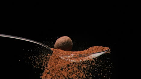 brown nut falling in super slow motion in a spoon filled with powder