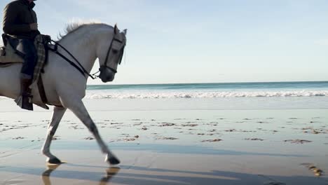 White-caucasian-men-horseback-riding-on-two-white-horses-on-a-beach-with-sea-waves-approaching-in-the-background,-cinematic-movement-with-slow-motion-side-view-shot